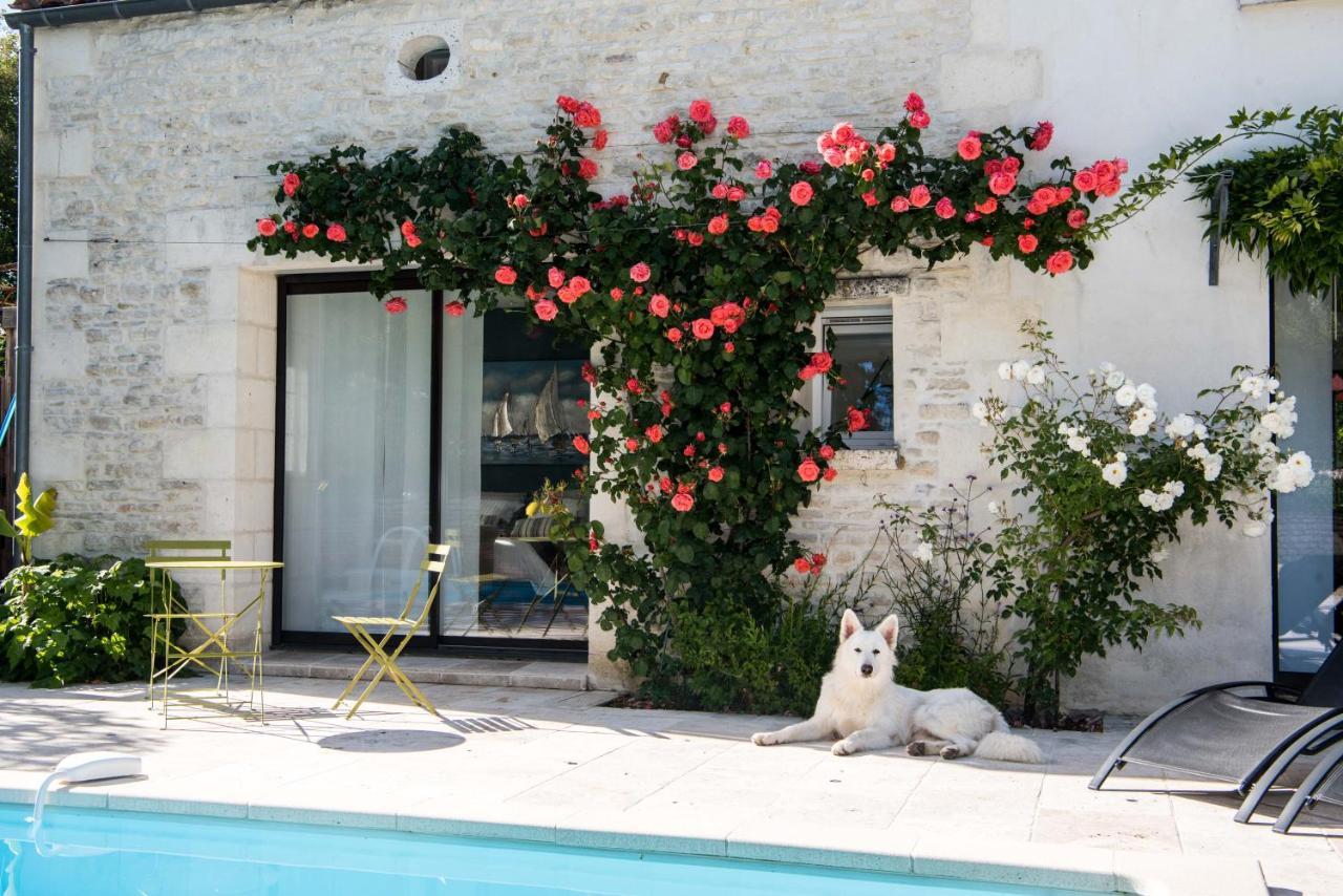 Le Logis De La Brumanderie - Saintes Fontcouverte  Εξωτερικό φωτογραφία
