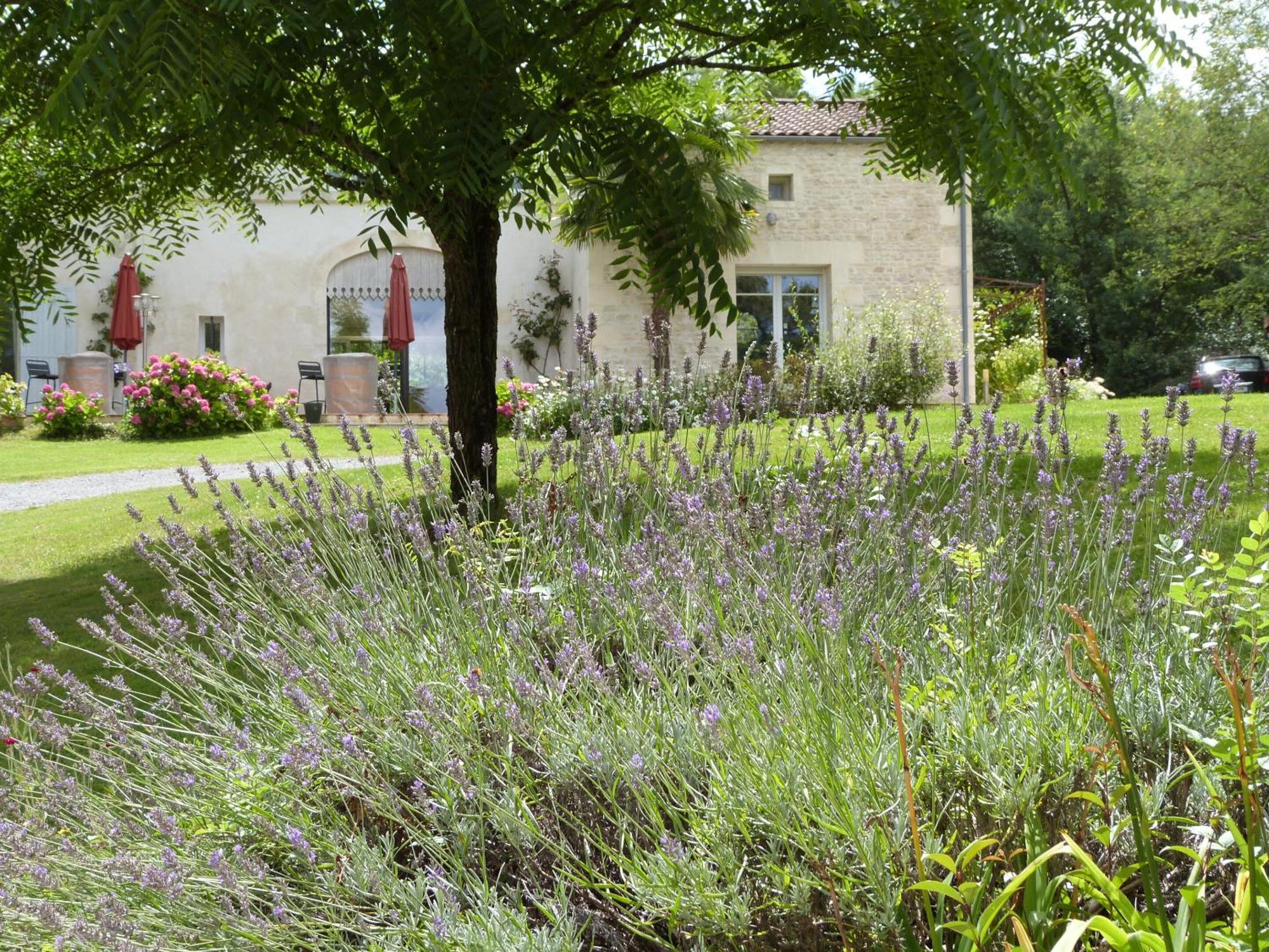 Le Logis De La Brumanderie - Saintes Fontcouverte  Εξωτερικό φωτογραφία